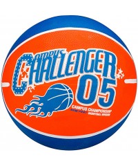 Баскетбольный мяч Schreuders Basketball Print