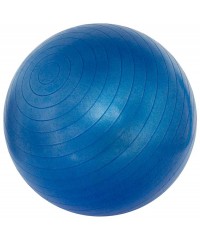 Мяч для фитнеса Schreuders Gymnastic Ball