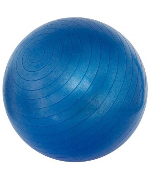 Мяч для фитнеса Schreuders Gymnastic Ball