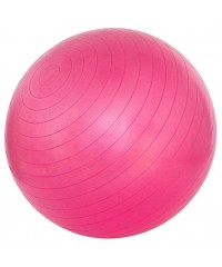 Мяч для фитнеса Schreuders Gymnastic Ball