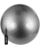 Мяч для фитнеса Avento Schreuders Gymnastic Ball With Pump ? 65 cm в Алматы