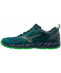 Кроссовки для бега Mizuno Wave Ibuki GTX Men