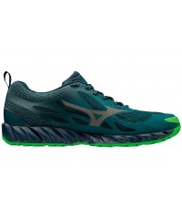 Кроссовки для бега Mizuno Wave Ibuki GTX Men