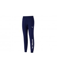 Спортивные брюки Mizuno Terry Pant Men