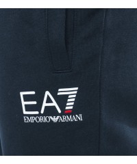 Спортивные брюки мужские Armany EA7 Gray Blue