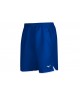 Спортивные шорты Mizuno Hex Rect Short Men в Алматы