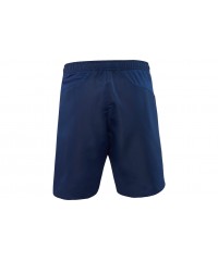 Спортивные шорты Mizuno Hex Rect Short Men