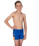 Шорты для плавания детские Fashy Swimwear Trunks Boys 128-176 в Алматы